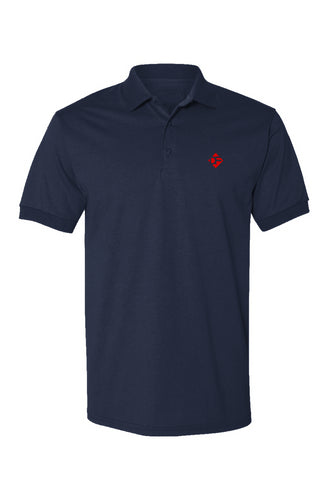 DF Polo