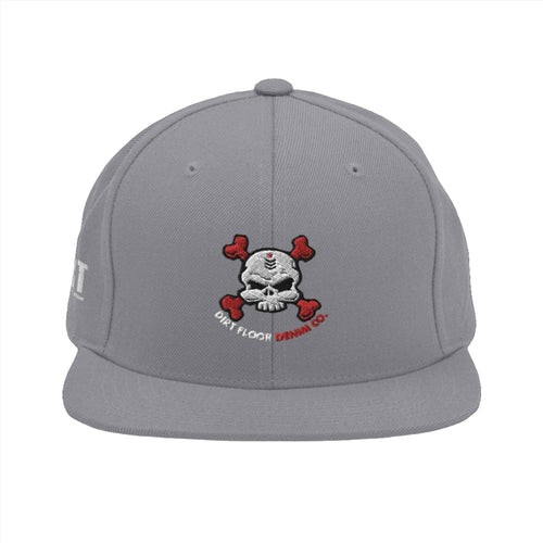 Skull Kandy Snapback Hat  Dirt Floor Denim Company Silver  